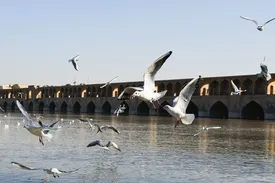 خروجی سد زاینده رود از امروز جمعه افزایش مییابد