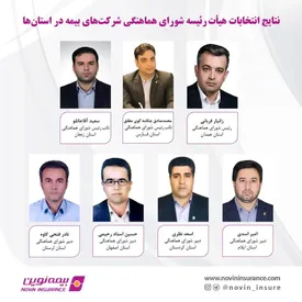 حضور رؤسای شعب بیمه نوین در هیأت رئیسه شورای هماهنگی استانها