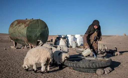 سال خشکی/عکس:پوریا ترابی