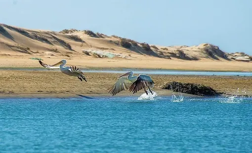 بندر تنگ سیستان و بلوچستان/عکس:عرفان سامان فر