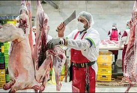 نبود خریدار باعث سقوط ۴۰ تا ۶۰ درصدی فروش گوشت شده