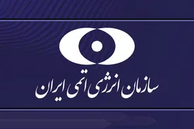 سازمان انرژی اتمی: بی‌عملی گروسی را از مسیرهای حقوقی پیگیری می‌کنیم