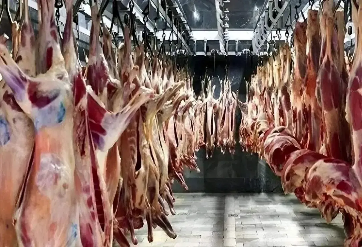 قیمت گوشت گوسفندی و قیمت گوشت گوساله امروز تهران ۷ شهریور ۱۴۰۴