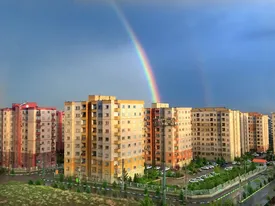 پس از باران/ عکس