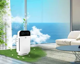 چطور تصفیه هوا می‌تونه فضای خونه‌ت رو زنده کنه؟