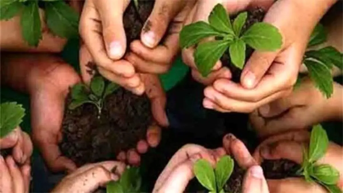 حمایت ۲ هزار میلیاردی بانک کشاورزی از زنان و جوانان روستایی در پروژه مشترک با سازمان ملل متحد