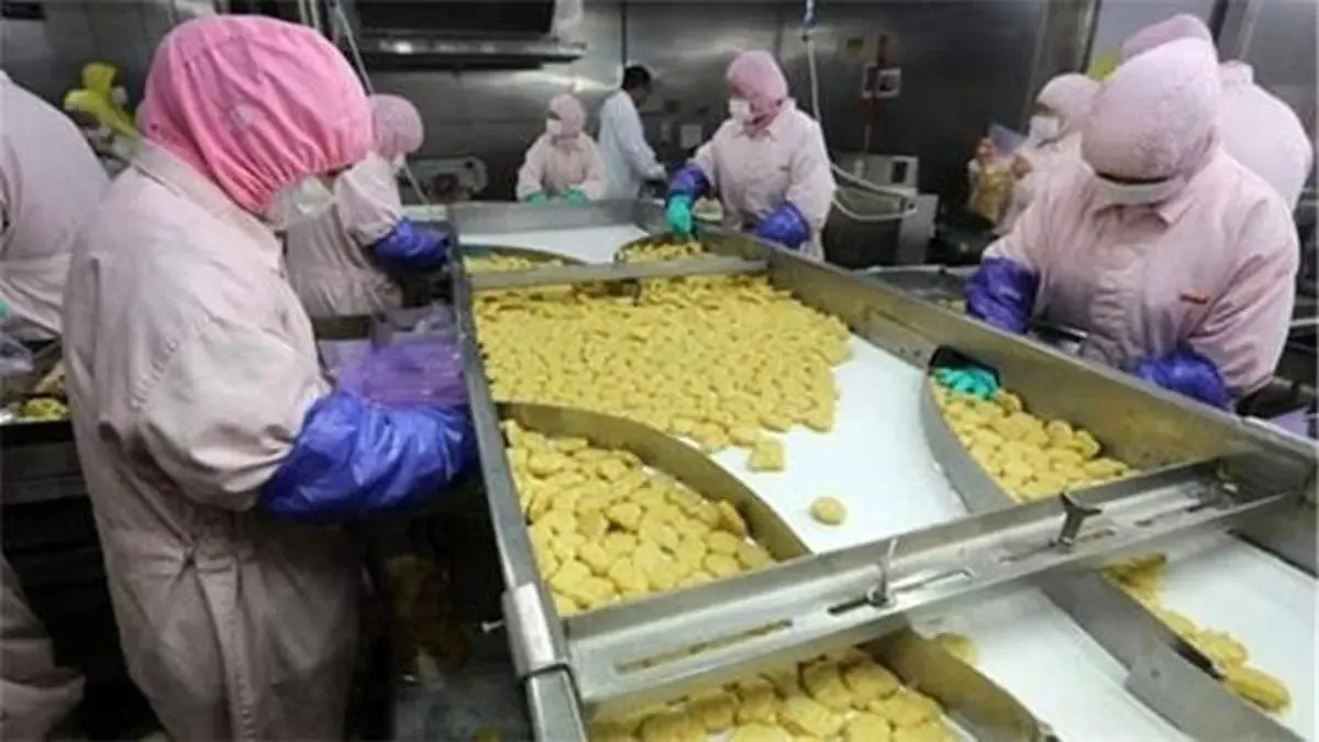 تاثیر منفی قطعی برق و آب به زودی در بازار مواد غذایی/ مسئولان درک درستی از شرایط ندارند/ خطر فساد مواد اولیه با قطعی برق