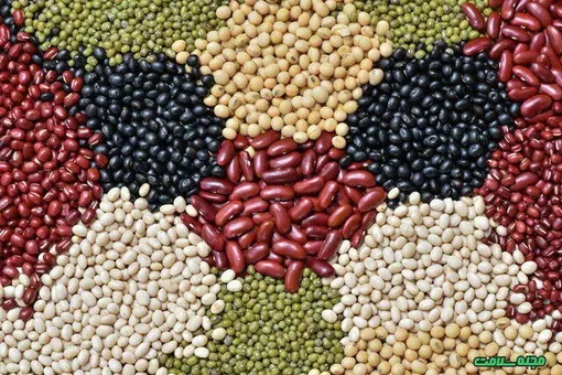 حبوبات ۳۰ درصد گران شد