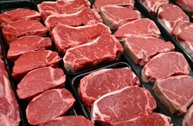 قیمت گوشت قرمز امروز ۸ اردیبهشت ۱۴۰۵