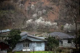 سرما و یخبندان در راه است؟ / دلیل گرمای زمستانه چیست؟