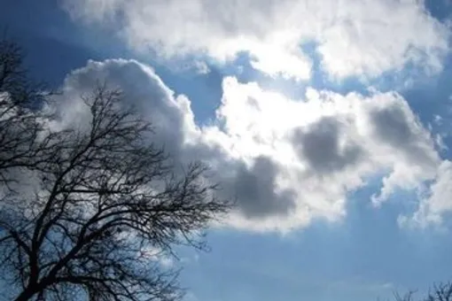 اداره کل هواشناسی استان تهران برای فردا شنبه (۱۱ بهمن) اطلاعیه صادر کرد