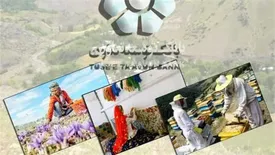 تسهیلات بانک توسعه تعاون 54 هزار شغل پایدار ایجاد کرد
