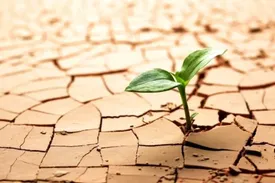 شدیدترین خشکسالی یک قرن اخیر در تهران