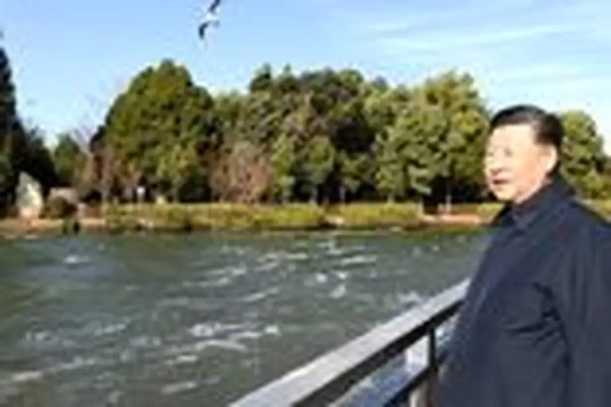 مخمصه ای که چین را گرفتار کرد