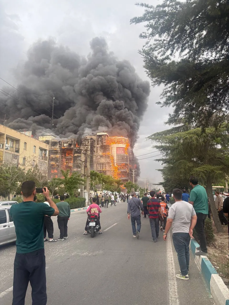 ارغوان
