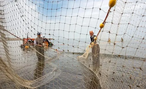 سخاوت دریای خزر/عکس : محمدامین نجفی