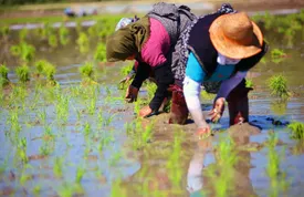 در مسیر اصلاحات تا حذف کامل تراستی ها