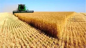 واریز بیش از164هزار میلیارد ریال وجوه خرید تضمینی گندم توسط بانک کشاورزی