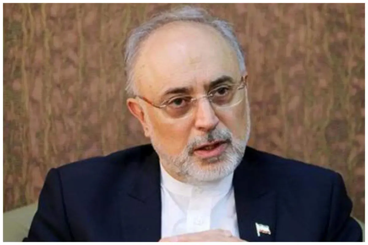 یک منبع آگاه خبر داد: کاندیداتوری علی اکبر صالحی در وقت مقتضی