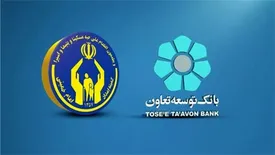 تحقق 99 درصدی سهمیه بانک توسعه تعاون در حمایت از مدد جویان کمیته امداد