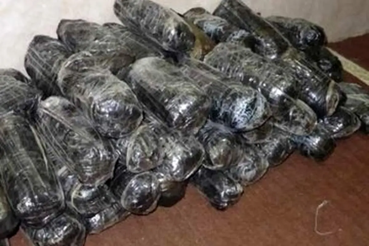 قیمت یک کیلو تریاک، ۲۰۰ میلیون تومان!