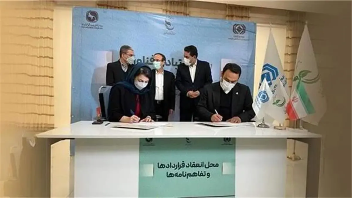 هوشمندی بیمه تجارت‌نو در استفاده از شرکت‌های دانش بنیان