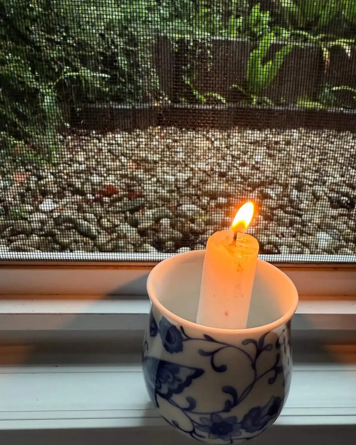 مادر مهناز افشار درگذشت