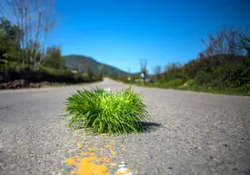 این استانها در روز طبیعت بارندگی دارند