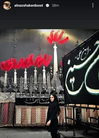 استوری عزاداری الناز شاکردوست در روز عاشورا/ عکس