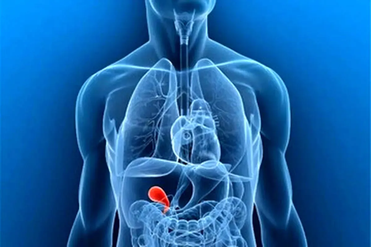 اگر می‌خواهید هورمون هایتان تنظیم شوند، مدتی به این خوراکی‌ها لب نزنید