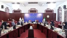 تاکید معاون وزیر اقتصاد بر اهمیت سهم بالای بیمه ایران در تامین مالی اقتصادی کشور