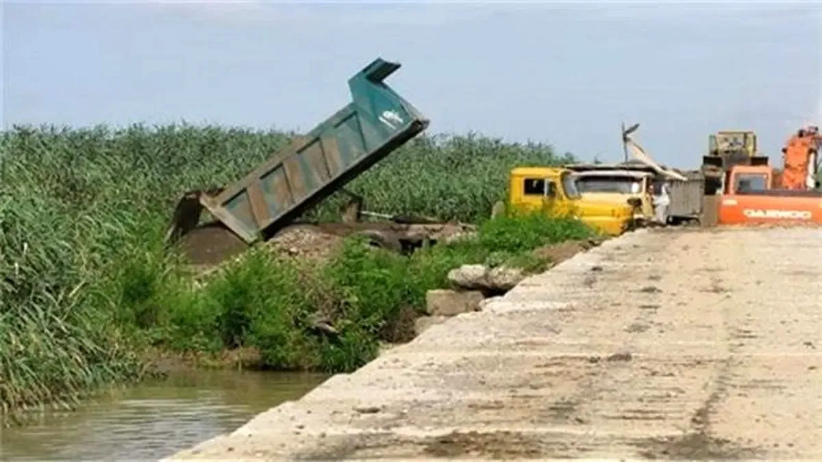 خشک کردن عمدی تالاب برای فروش زمین‌های میلیاردی منطقه آزاد / تالاب انزلی در حصار سنبل آبی