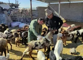 نحوه تشخیص گوشت آلوده به تب کریمه کنگو/ این نشانه‌ها را جدی بگیرید