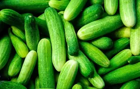 فواید خیار برای سلامتی