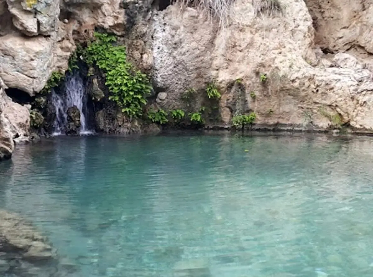 تنگ بنیون؛ نگینی سبز در قلب بوشهر