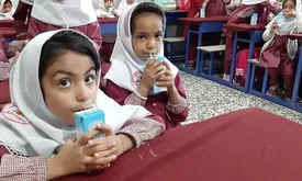 تغذیه رایگان دانش آموزان ابتدایی امسال اجرا می‌شود