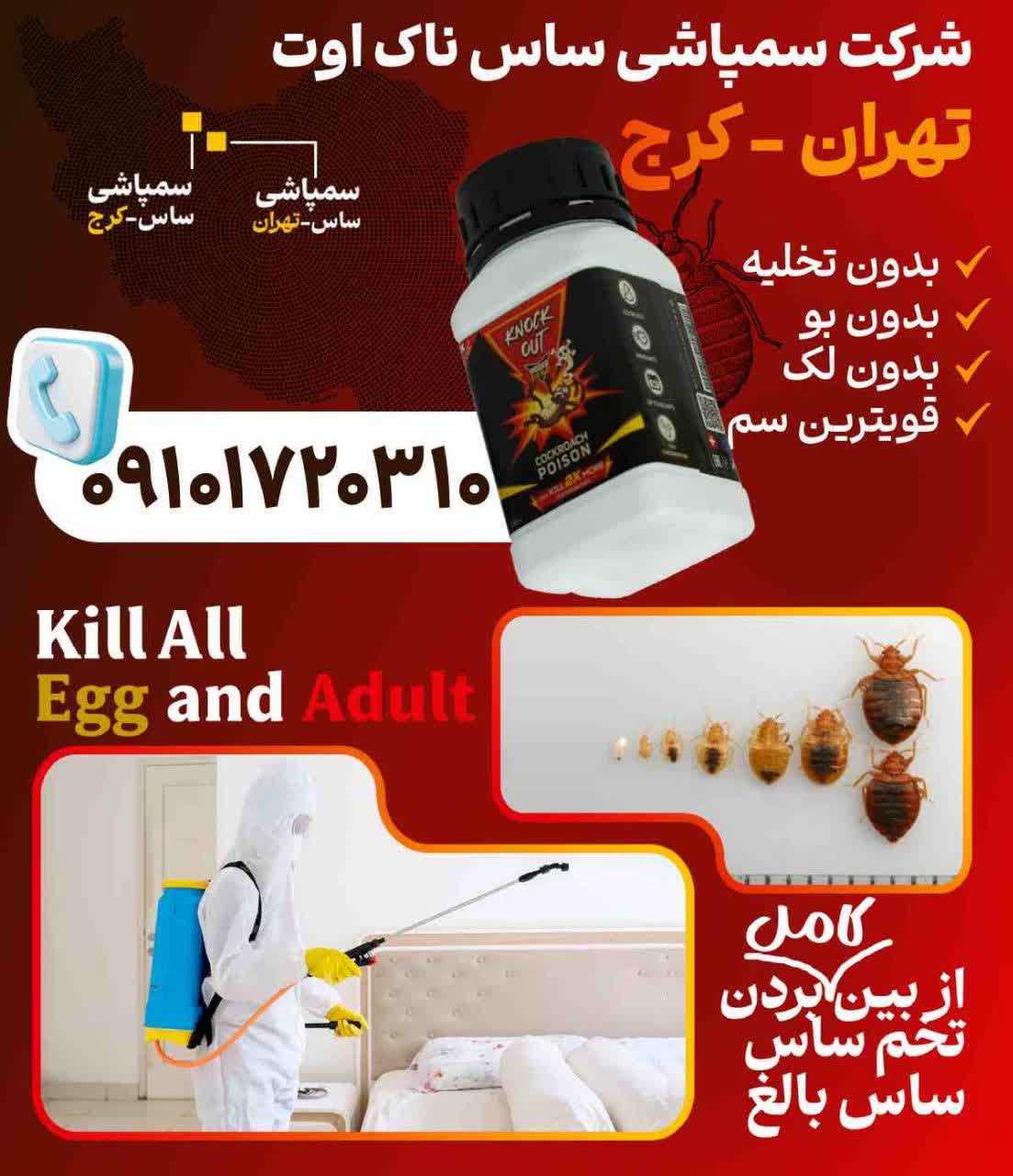 بهترین شرکت سمپاشی ساس منزل تهران-کرج (بدون تخلیه)