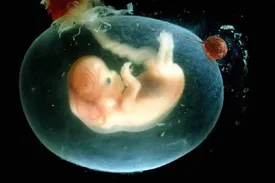 سن مجاز برای سقط جنین چقدر است؟ | صدور دستورالعمل جدید برای سقط جنین