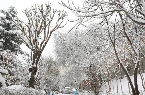 بارش برف زمستانی در تهران