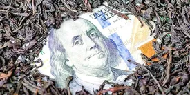 چای دبش بزرگترین صادر کننده قیر بود!