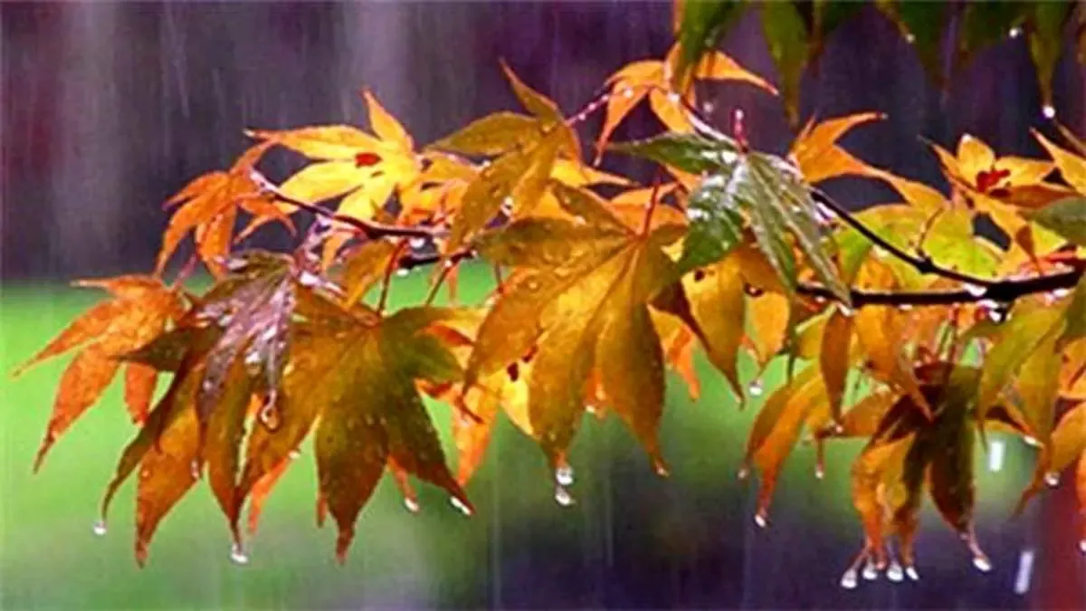 افزایش ۲۰ درصدی بارش‌های زمستانی/ سدها همچنان درگیر ناهنجاری شدید آبی