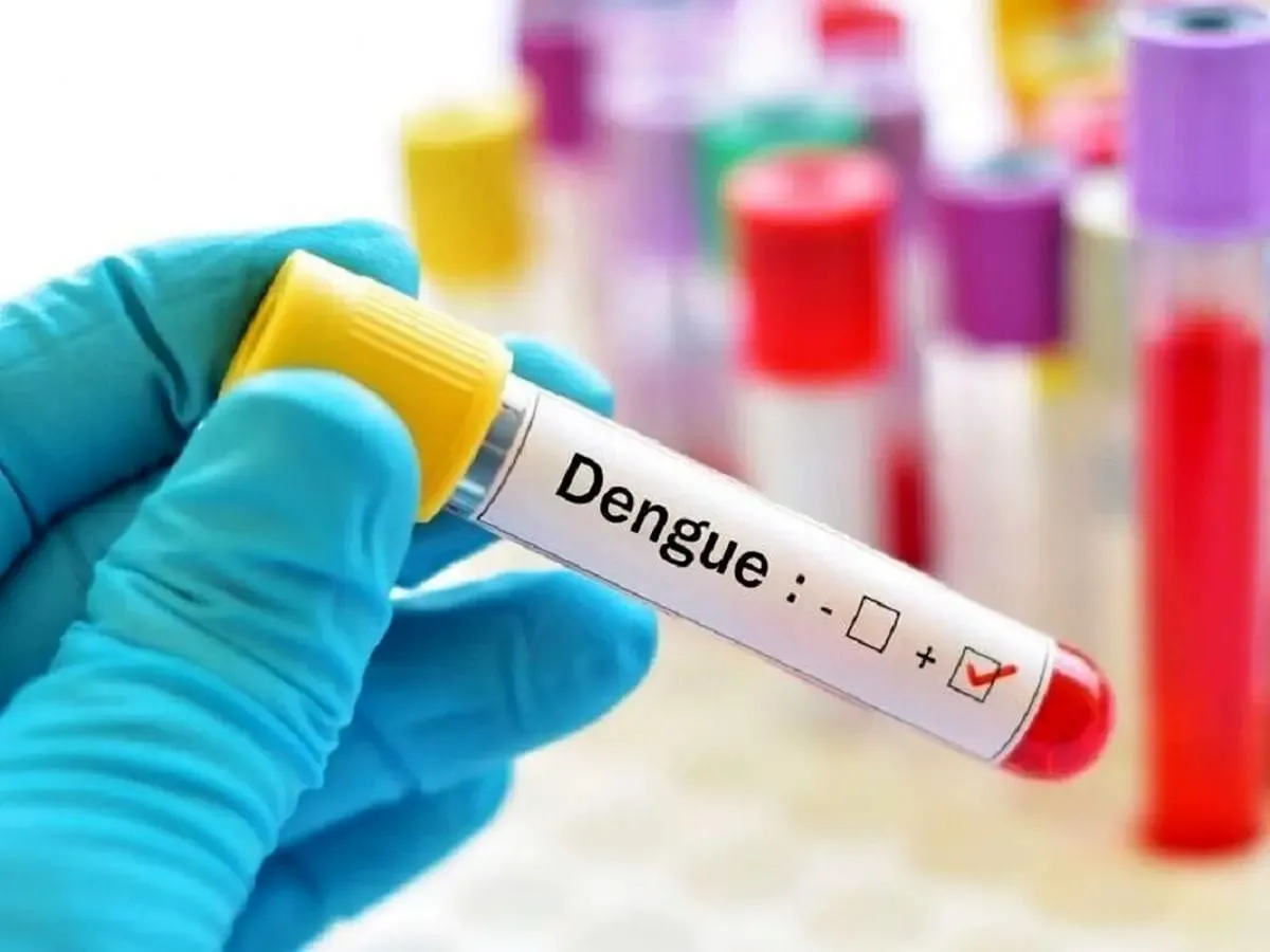 تب دنگی بالا گرفت