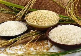 توزیع گسترده برنج ارزان از این تاریخ در فروشگاه‌های زنجیره‌ای