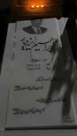 ویدئو غم‌انگیز پریناز ایزدیار از مزار پدرش