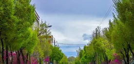 بارش باران تا کی ادامه دارد؟