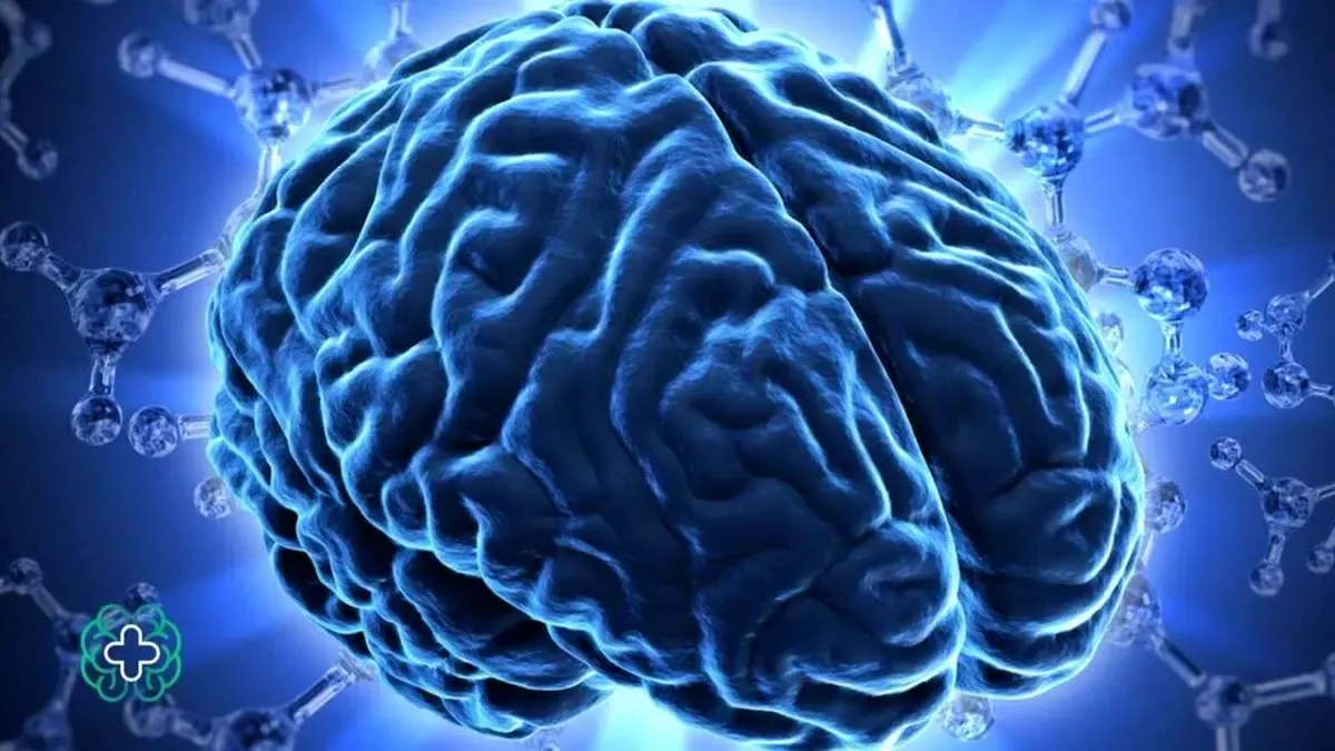 ۴ راهکار مهم برای حفظ سلامت مغز