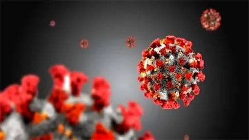 لامبدا؛ گونه جدید ویروس کرونا