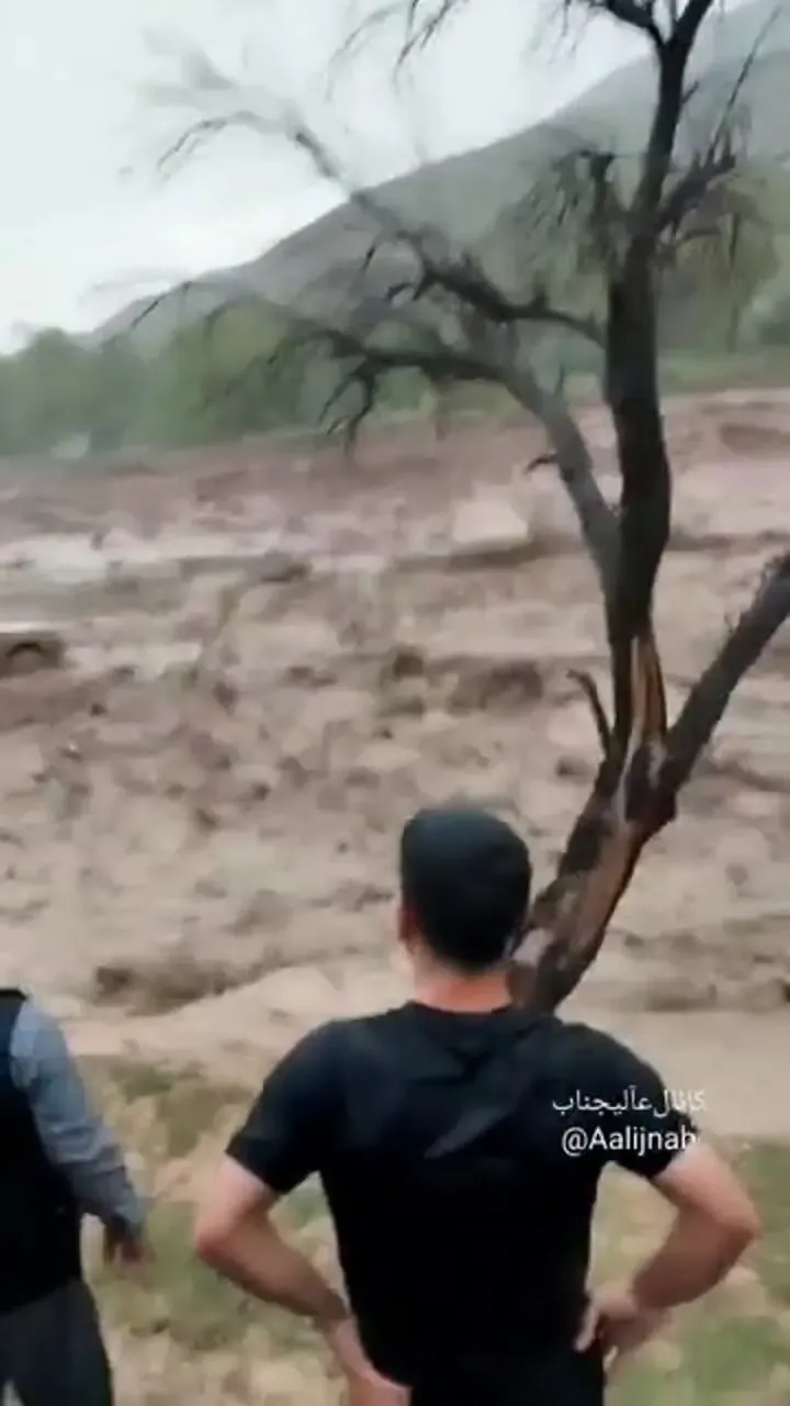 سیل وحشتناک در شبستر ماشین‌ها را با خود بُرد/ فیلم