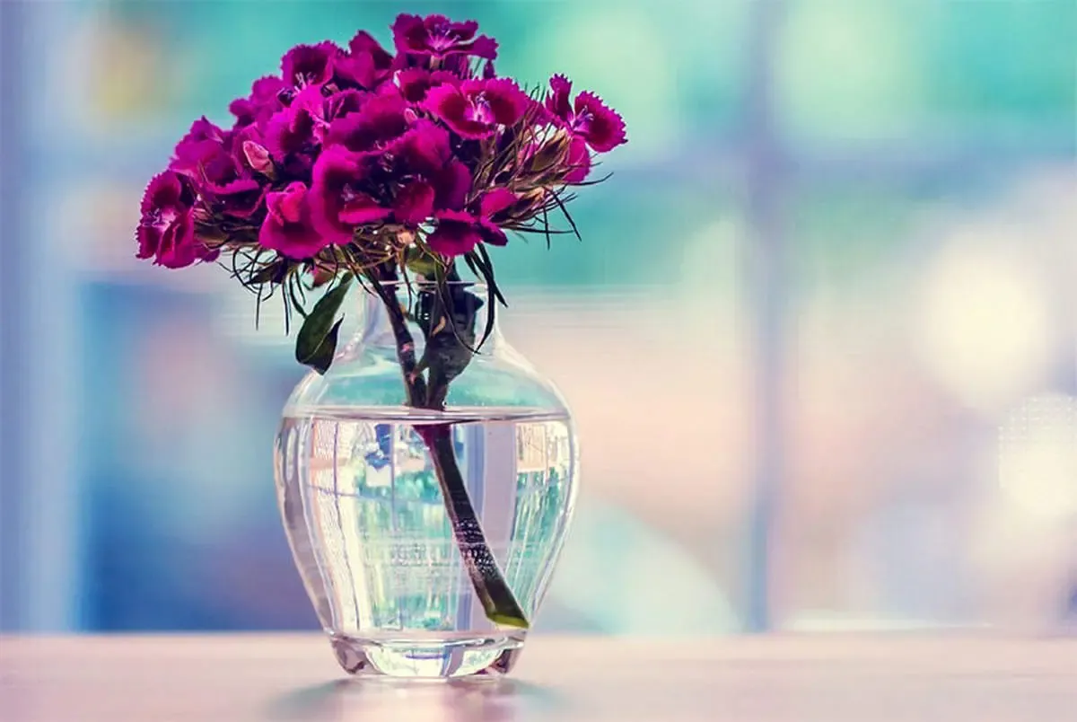 تاثیر شگرف مثبت اندیشی در موفقیت