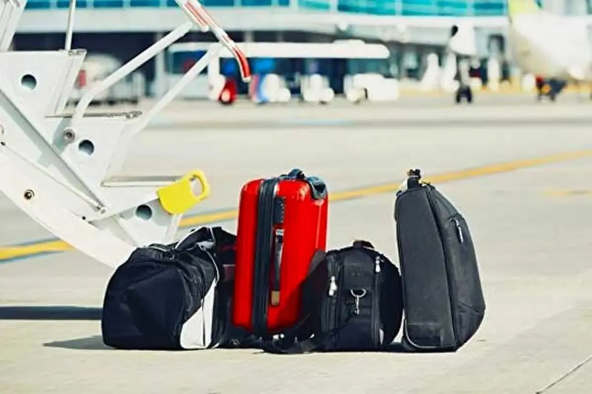 ملی گراها و حامیان دولت دو گروه ضد افغان